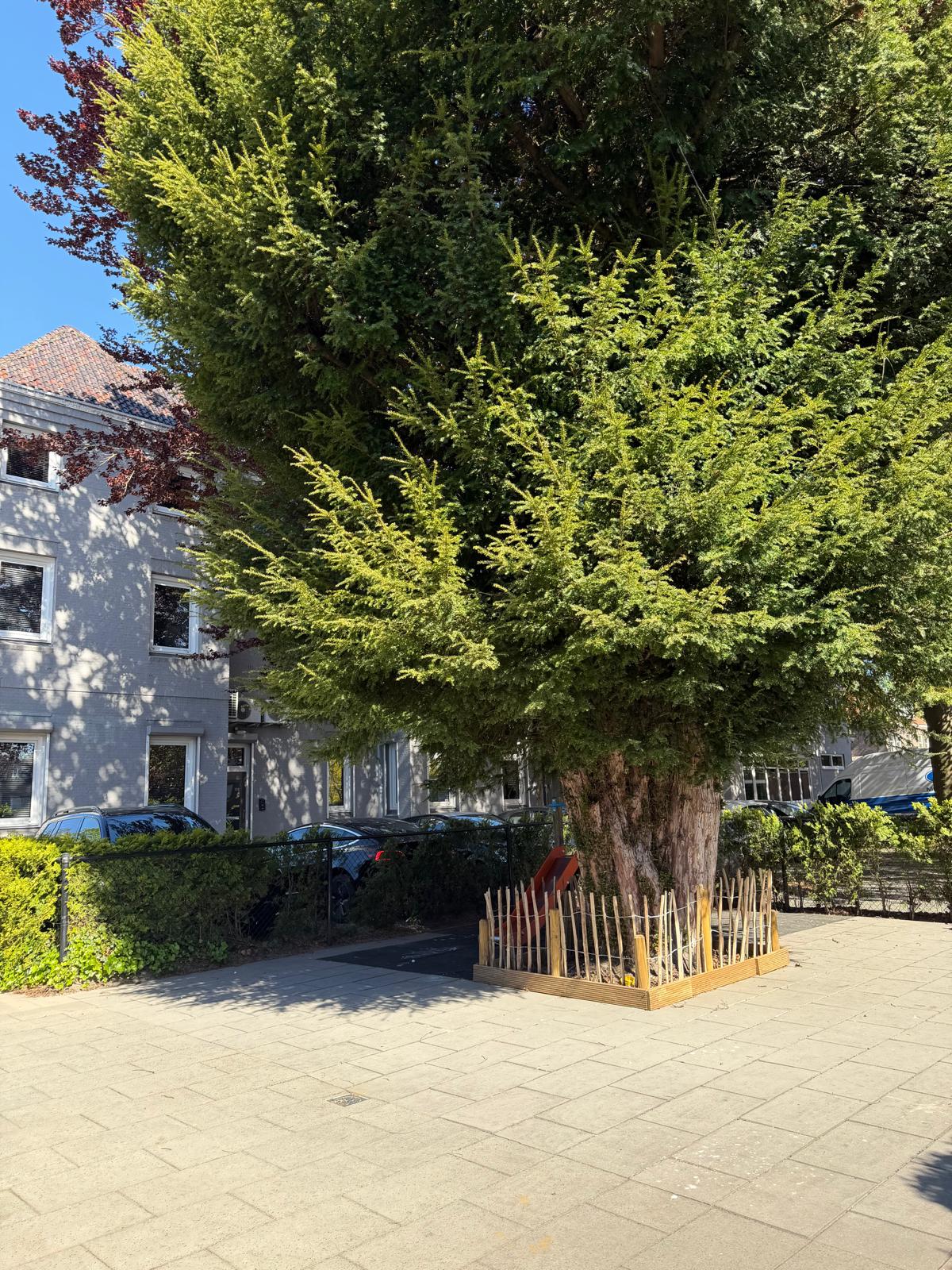 Bloei Kinderdagverblijf Tilburg